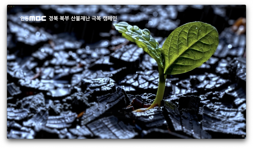 ee750393c49cd9ee2e4e34ac59550c16_1763106917_1764.png